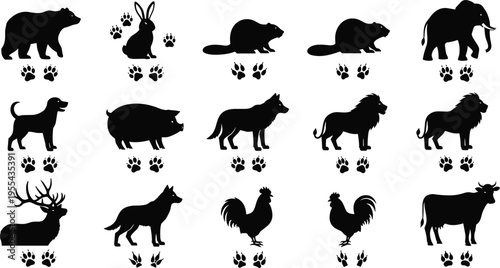 Animal silhouettes with matching paw prints footprints educational wildlife tracking illustration for biology learning and identification