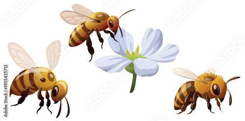 Bees gather nectar from white flowers in a garden setting during daytime