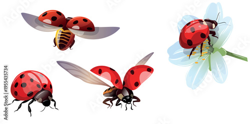 Ladybugs flying and resting on a flower in a bright setting with various angles captured during the day