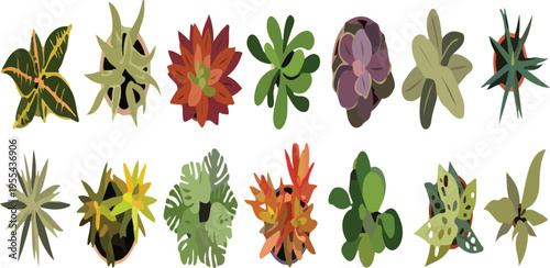 Top view house plants vector set with potted flowers, colorful hand drawn flat icons for interior design and landscaping