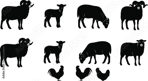 Black silhouette farm animals collection with sheep, rams, lambs, roosters, and hen illustrations for agriculture design