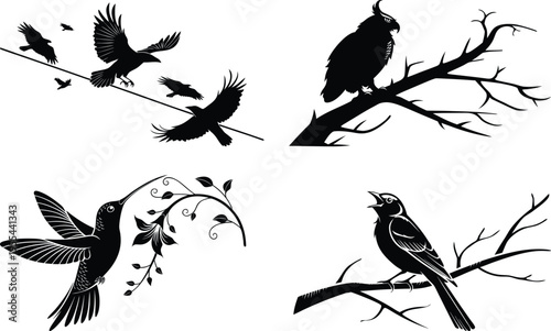Four black and white silhouettes of birds on branches with varying poses and foliage