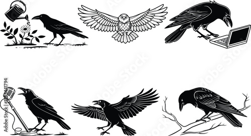 Collection of various black and white illustrations of crows and ravens in different poses and activities