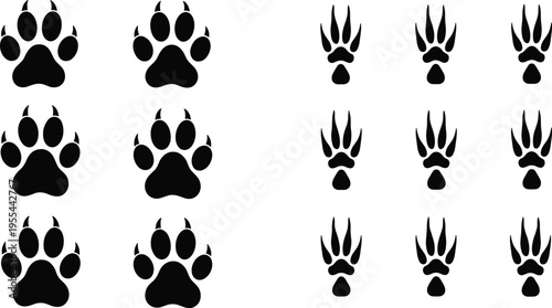 Educational comparison of animal paw prints showing canine feline tracks versus bear footprints in grid format illustration
