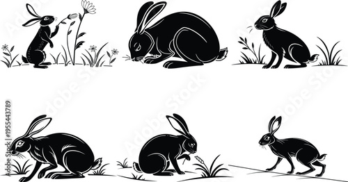 Sequence of rabbits in various poses in a grassy field