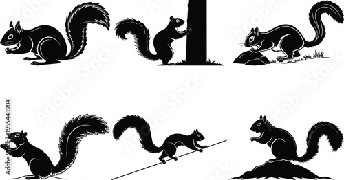 A series of six black silhouettes depicting various squirrel poses and actions in a playful and dynamic composition
