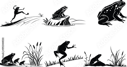 A series of six black and white illustrations depicting frogs in various poses and environments with plants