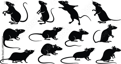 Collection of various rat silhouettes in different poses and orientations