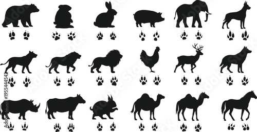 Silhouettes of animals with matching paw prints in grid layout for wildlife education and zoology tracking illustration
