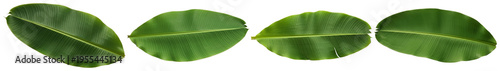 Fresh, vibrant green banana leaves, individually photographed.