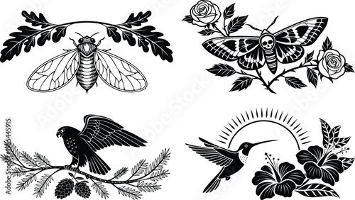 Vintage black and white illustrations of insects and birds in floral settings
