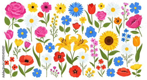 Colorful flowers in full bloom variety.