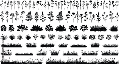 Mega botanical silhouettes set, wildflowers bushes and grass borders collection, meadow nature elements bundle, decorative black vector illustration isolated background