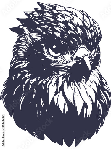 A close-up view of an eagle's head with feathers and beak