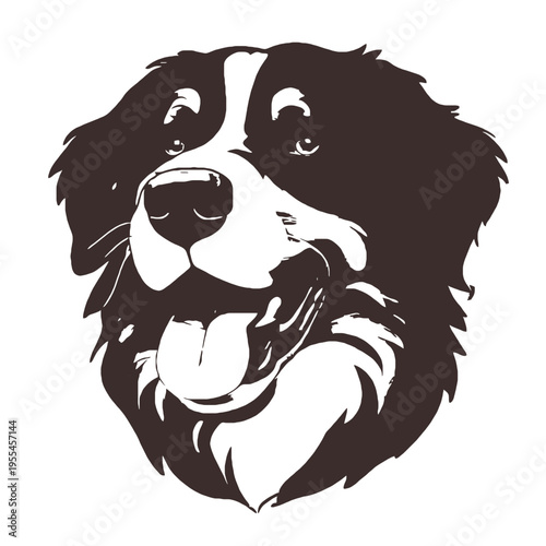 A dog's head with its tongue out