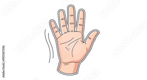 Palm of a human left hand.