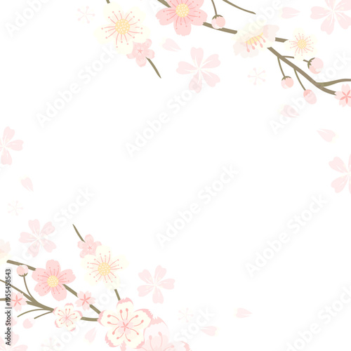 やわらかな桜が四隅に舞う春の和風背景・淡いピンクで彩る上品で優しい余白付きデザイン素材
