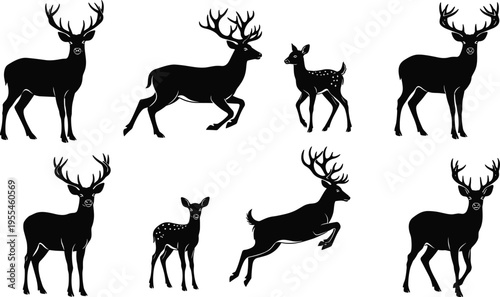 Deer silhouettes collection featuring stag, doe and fawn in various poses, wildlife animal set isolated on white background vector illustration