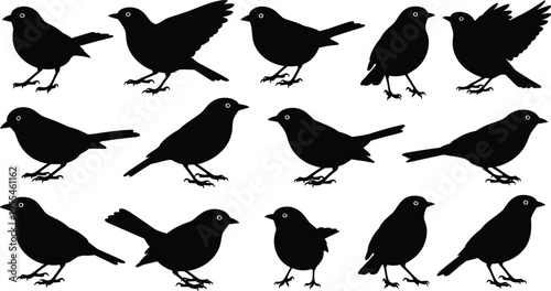 Set of small bird silhouettes in different poses including standing walking and flying, black avian vector collection isolated on light background