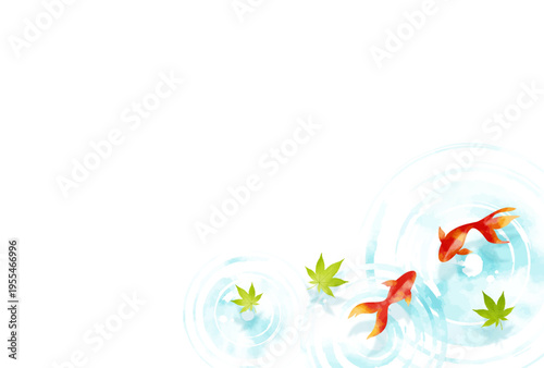 夏・暑中見舞い・和風　水彩風　赤い金魚と水面の波紋　