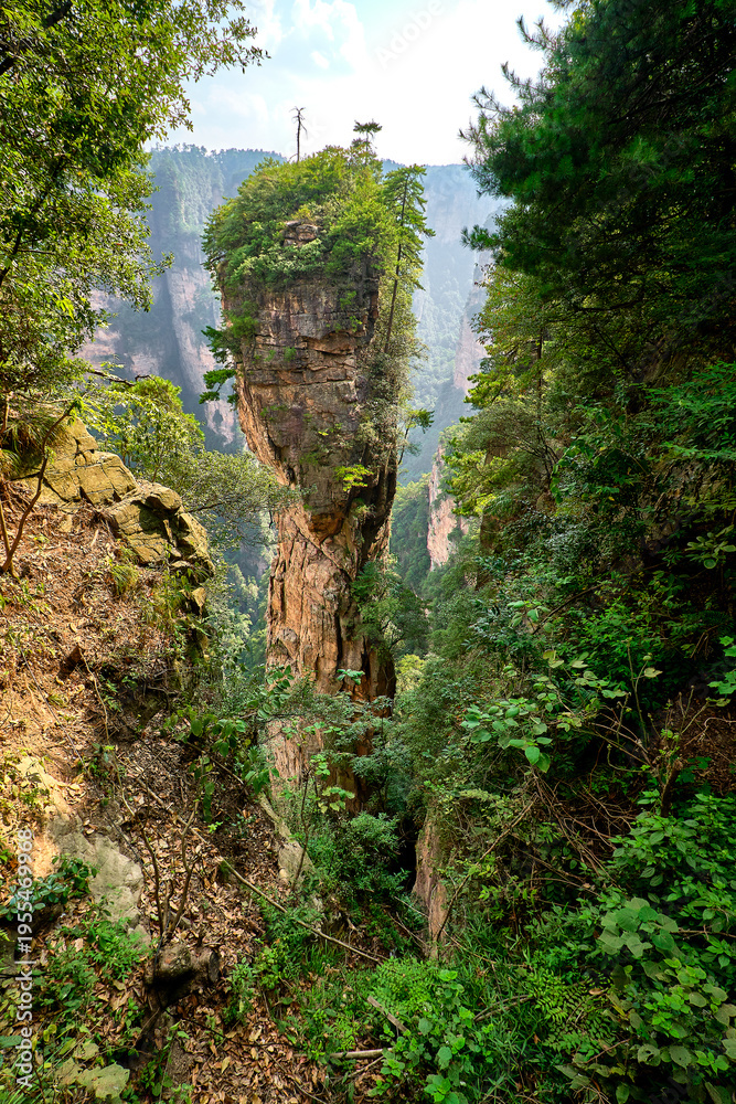 Fototapeta premium view of the avatar mountains in zhangjiajie national park in china