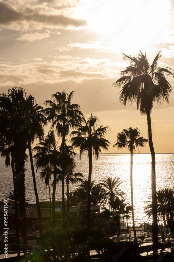 Obraz premium Sunset view on ocean, silhouettes of palm trees, swimming pool in Costa Adeje, Tenerife, Spain