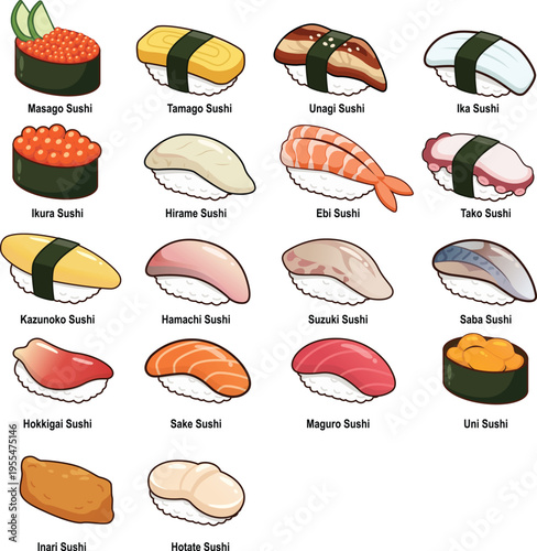 Illustration Traditional Japanese Sushi Variety Pack