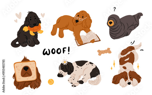 Funny cocker spaniel clipart set with humorous poses, cute dog illustrations upside down and in toast window, playful puppy graphics with toy and book, adorable pet vector collection