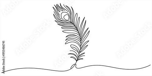 Continuous line drawing of a peacock feather with elegant curves on a white background. Vector, illustration