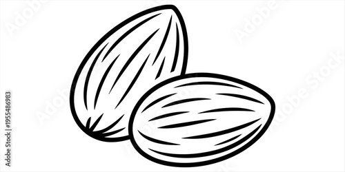 A simple black and white line art illustration of two almonds isolated on a white background. Vector, illustration