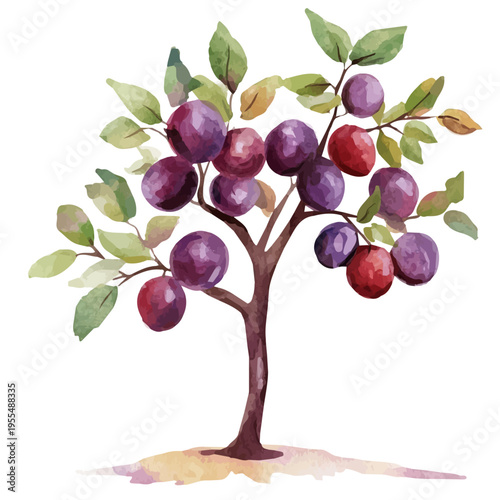 Plum Tree High Quality, watercolor painting with colorful accents, isolated on a white background.