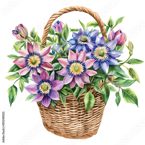 Passionflower Bouquet In A Basket A, watercolor illustration featuring soft shadows and luminous, isolated on a white background.