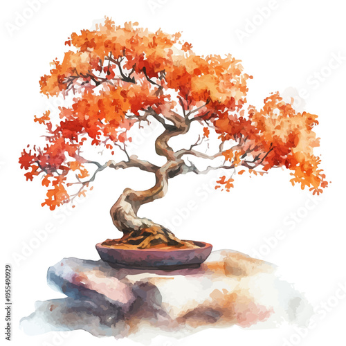 Orange Bonsai, watercolor illustration featuring soft shadows and luminous, isolated on a white background.