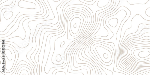 Geography landscape Topo contour map on white background, Topographic contour lines. Seamless pattern with lines Topographic map. Geographic mountain relief diagram line wave carve pattern. 