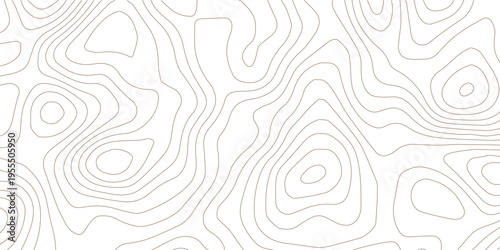 Abstract black and white topographic contours lines of mountains. Topography map art curve drawing. vector illustration. wave Line topography map contour background .background