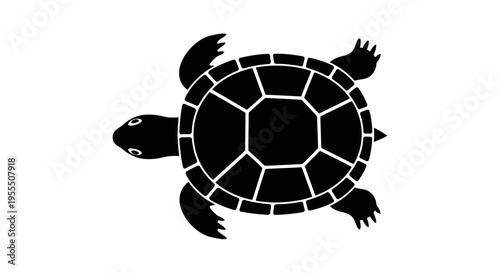 Minimalistic Black and White Turtle Illustration for Creative and Educational Uses