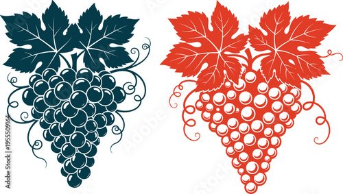 Grapes cluster vector collection with detailed leaves and curly vines in solid dark blue and bright red outline versions