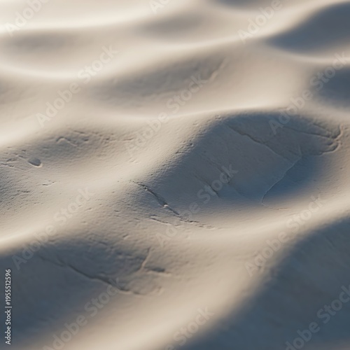 footprints in the snow