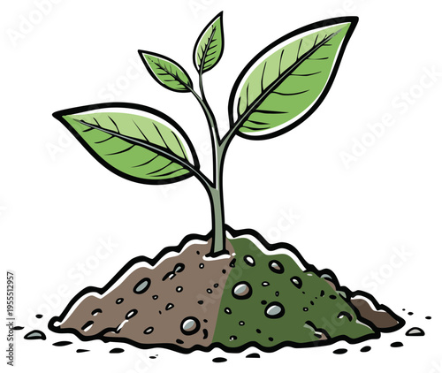 Green seedling growing in fertile soil, symbolizing new life and growth