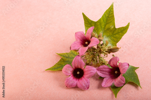 Acoustic polyester panels are used in interior design