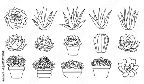 Succulent Plant Line Art Vector Set with Potted Cactus and Aloe Icons, Minimal Botanical Collection for Home Decor, Garden Design, and Nature Illustrations