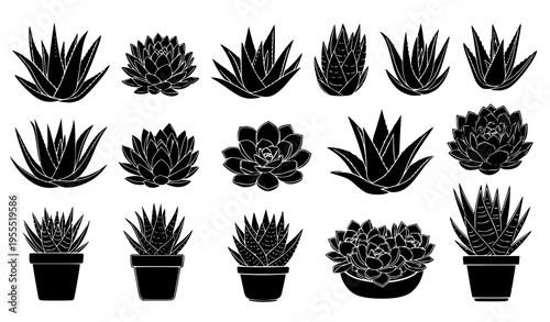 Succulent and Cactus Silhouette Vector Set with Potted Plants, Black Botanical Collection for Home Decor, Garden Design, and Minimal Nature Illustrations