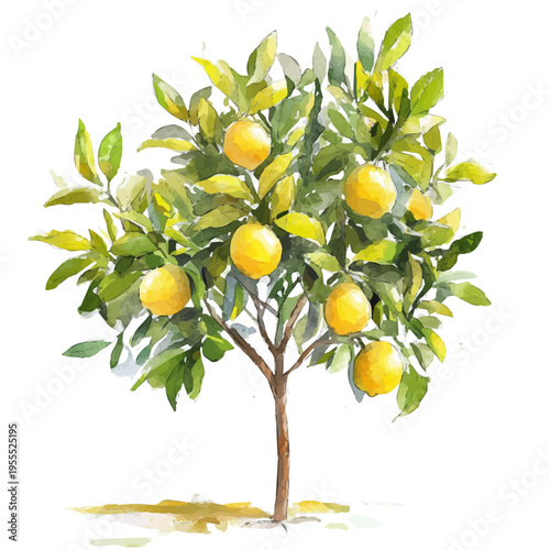 Lemon Tree High Quality, watercolor illustration featuring soft shadows and luminous, isolated on a white background.