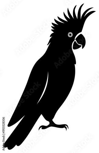 Cockatoo bird vector silhouette graphic, tropical parrot, exotic fauna illustration