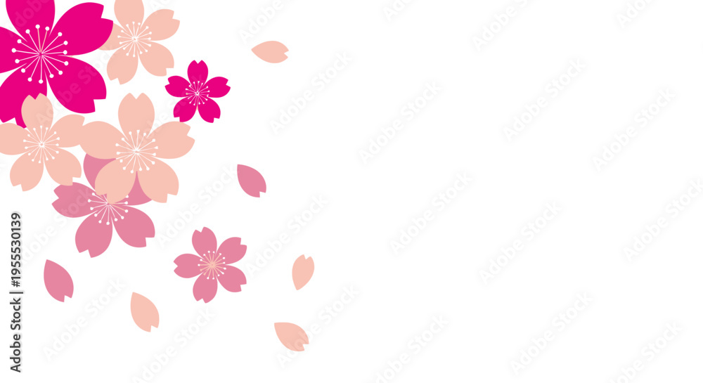 Fototapeta premium Minimalist Pink Cherry Blossom Vector Illustration with Sakura Flowers and Falling Petals on White Background with Copy Space