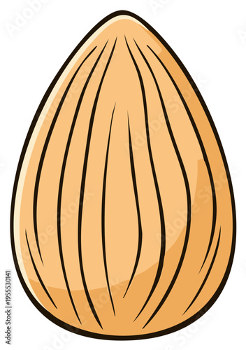Stylized Illustration of a Single Almond Nut