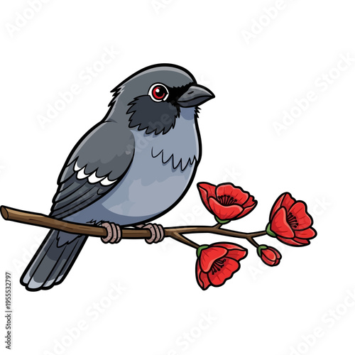 Asian Koel bird on Erabadu Branch ( Koha Bird) vector illustration for Sinhala and Tamil New Year celebration