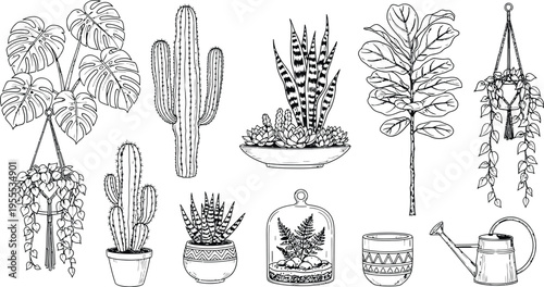 Hand Drawn Indoor Houseplants Collection with Monstera Cactus Succulent Ficus Hanging Plant Terrarium Watering Can Vector Illustration
