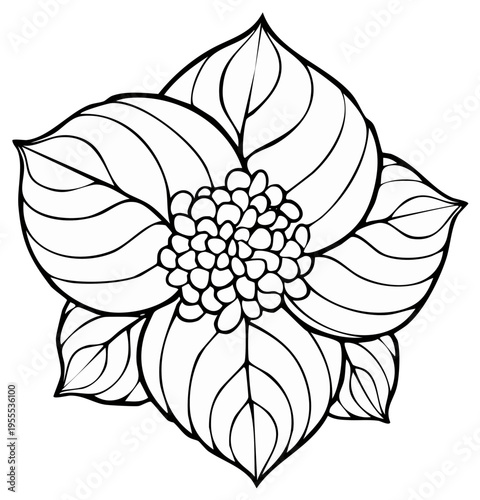 Detailed Flower with Petals and Bud in Black and White Outline for Coloring Pages