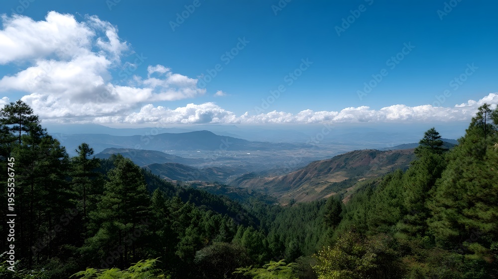 Fototapeta premium Expansive panoramic view of lush green pine forests leading to a distant valley and mountain range under a bright blue sky with white clouds
